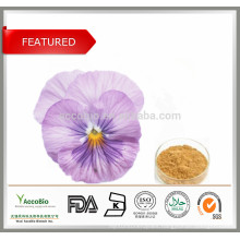 Food Supplement,Cosmetic ingredients Viola Tricolor, ext.Pansy Extract 10:1 20:1
